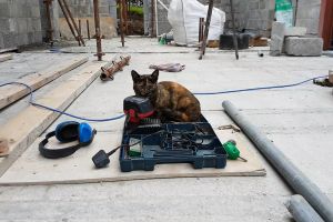 .... and the site inspector pays a visit to check that his equipment is satisfactory. She seems content enough.